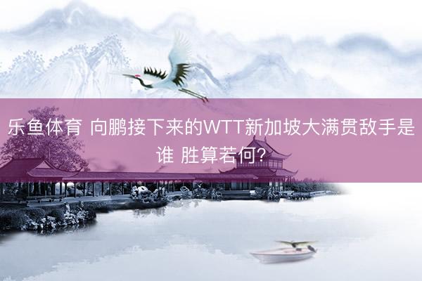 乐鱼体育 向鹏接下来的WTT新加坡大满贯敌手是谁 胜算若何？